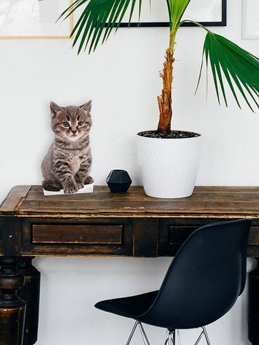 Kleine Personalisierte Pappaufsteller Katze